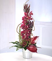 Eileen Jenkins Red Orchid Arrangement